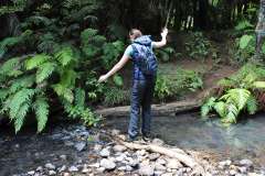 Trying to keep feet dry