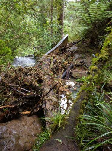 Stream crossing after storm