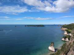 Lookout off the main Cathedral Cove track