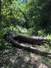 Obstacles on bike ride