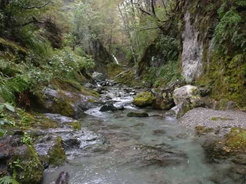 View to base of waterfall along the creek