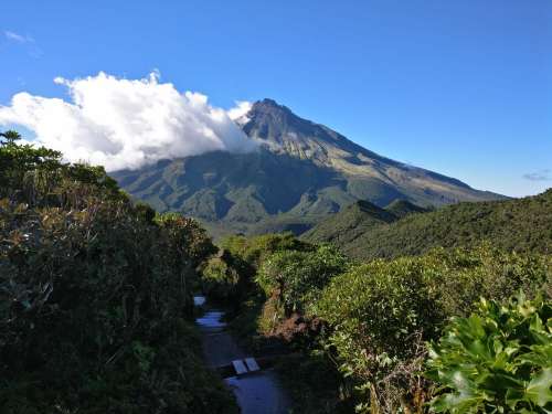 On the way towards Holly Hut and Bell Falls