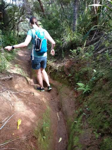 Slippy - grabbing onto a leaf for support?