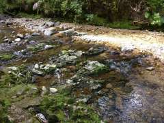 Another stream crossing