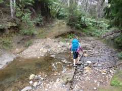 Back on the Tramline track