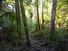 Back on the Ecology Trail