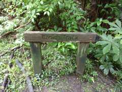 Start of Ernies Track