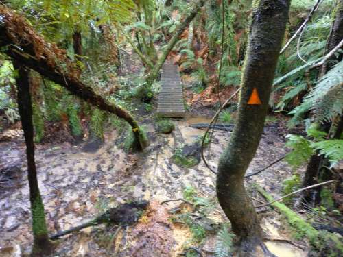 Muddy section on Ernies Track