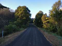 Back on ARA Drive, mist cleared up