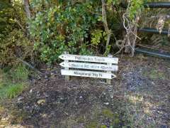 Start of Pukapuka Track