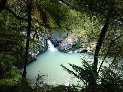 Along Cosseys Gorge track