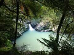 Pool along Cosseys Gorge Track