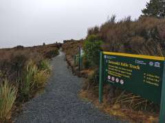 Start of lower track