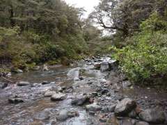 Wairere Stream