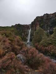 Taranaki Falls