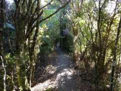 Suspension Bridge track