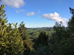 Lookout on Suspension Bridge track