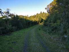 Grass track after long climb