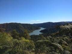 Wairoa Loop track