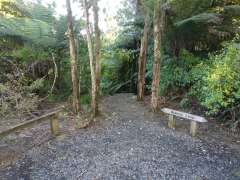 Start of Wairoa Loop track descent