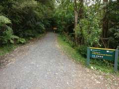 Goldie Bush entrance