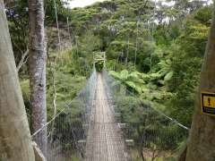 Suspension bridge