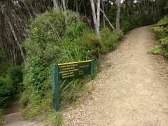 Towards Constable Road entrance