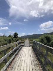 Lots of these gates to navigate